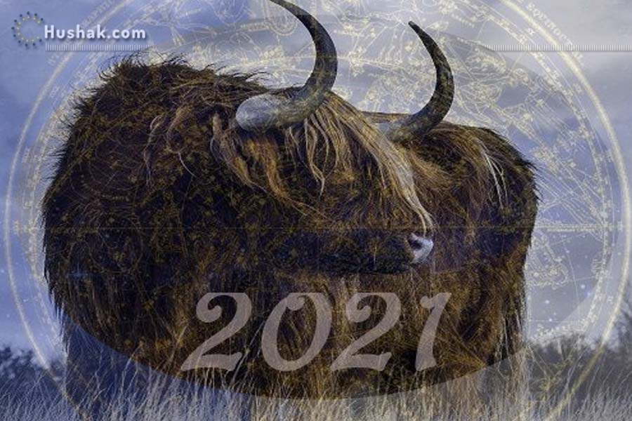2021: гороскоп на год Белого Быка