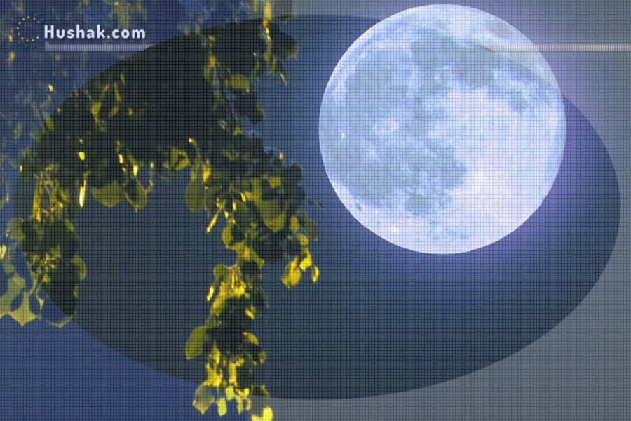 Лунно-солнечный прогноз на 12 августа 2022 года