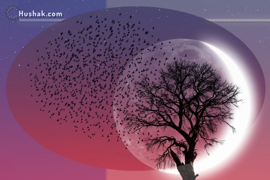 2025 թվականի հոկտեմբերի 31-ի լուսնային-արևային աստղագուշակ