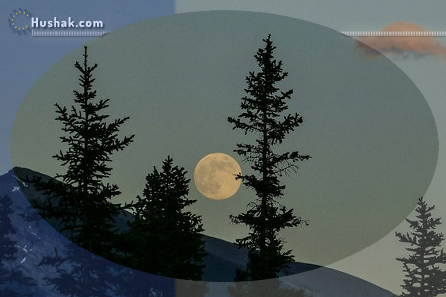 2025 թվականի նոյեմբերի 29-ի լուսնային-արևային աստղագուշակ