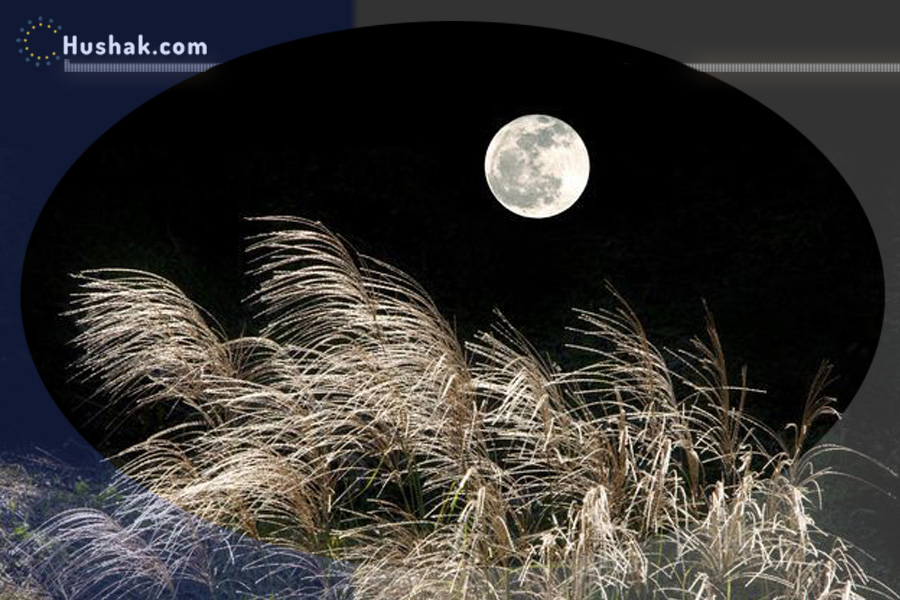 2025 թվականի դեկտեմբերի 19-ի լուսնային-արևային աստղագուշակ