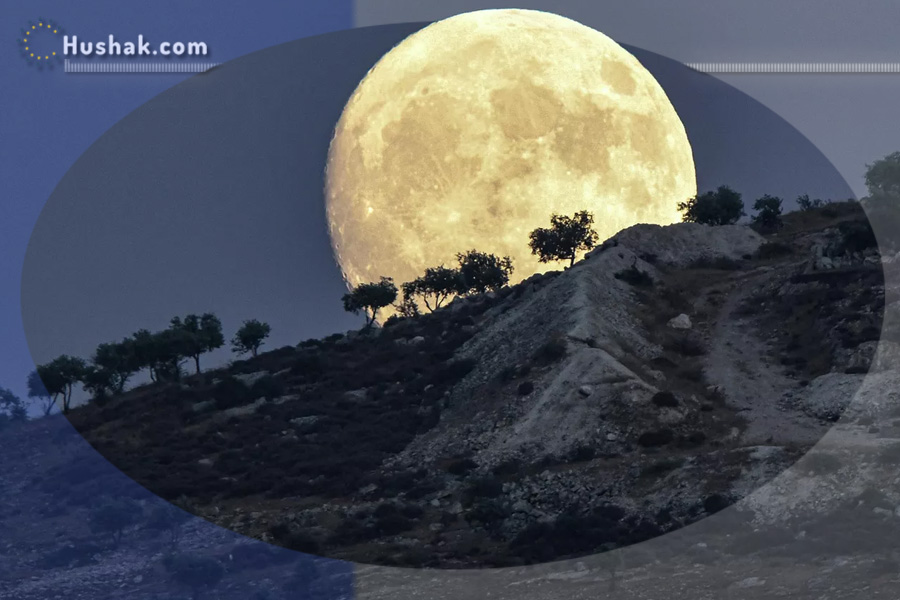 2025 թվականի դեկտեմբերի 14-ի լուսնային-արևային աստղագուշակ